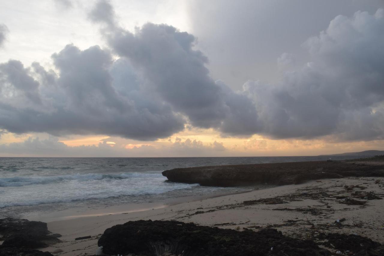 Arena Condos Aruba - Few Steps From Eagle Beach! Palm Beach Екстер'єр фото